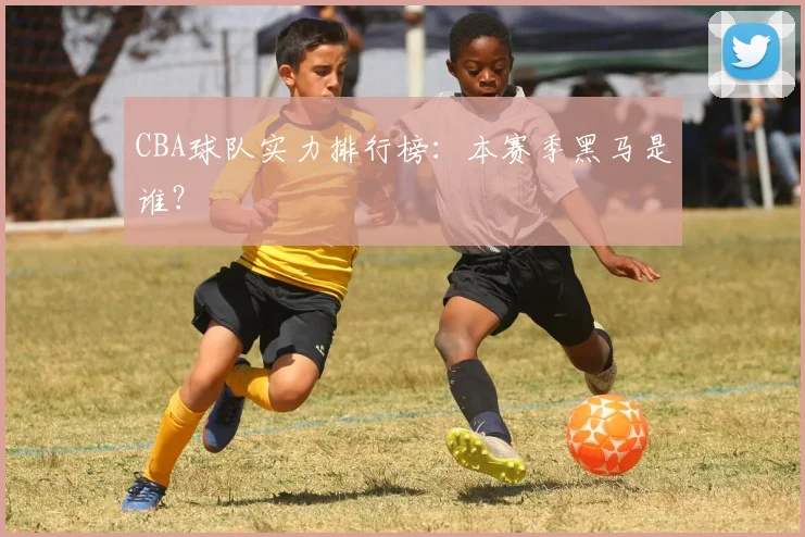 CBA球队实力排行榜:本赛季黑马是谁?